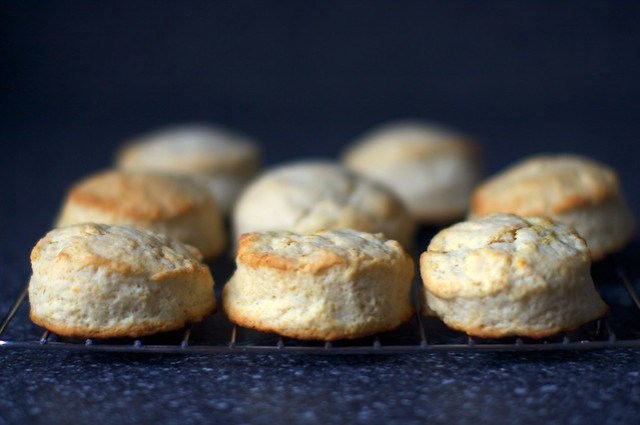 cream biscuits