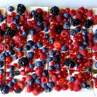 cheesecake bars with all the berries